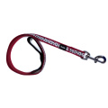 Snap Hook Nylon Dog Training Material de correa